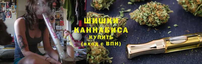 Бошки Шишки VHQ  где продают   Костерёво 